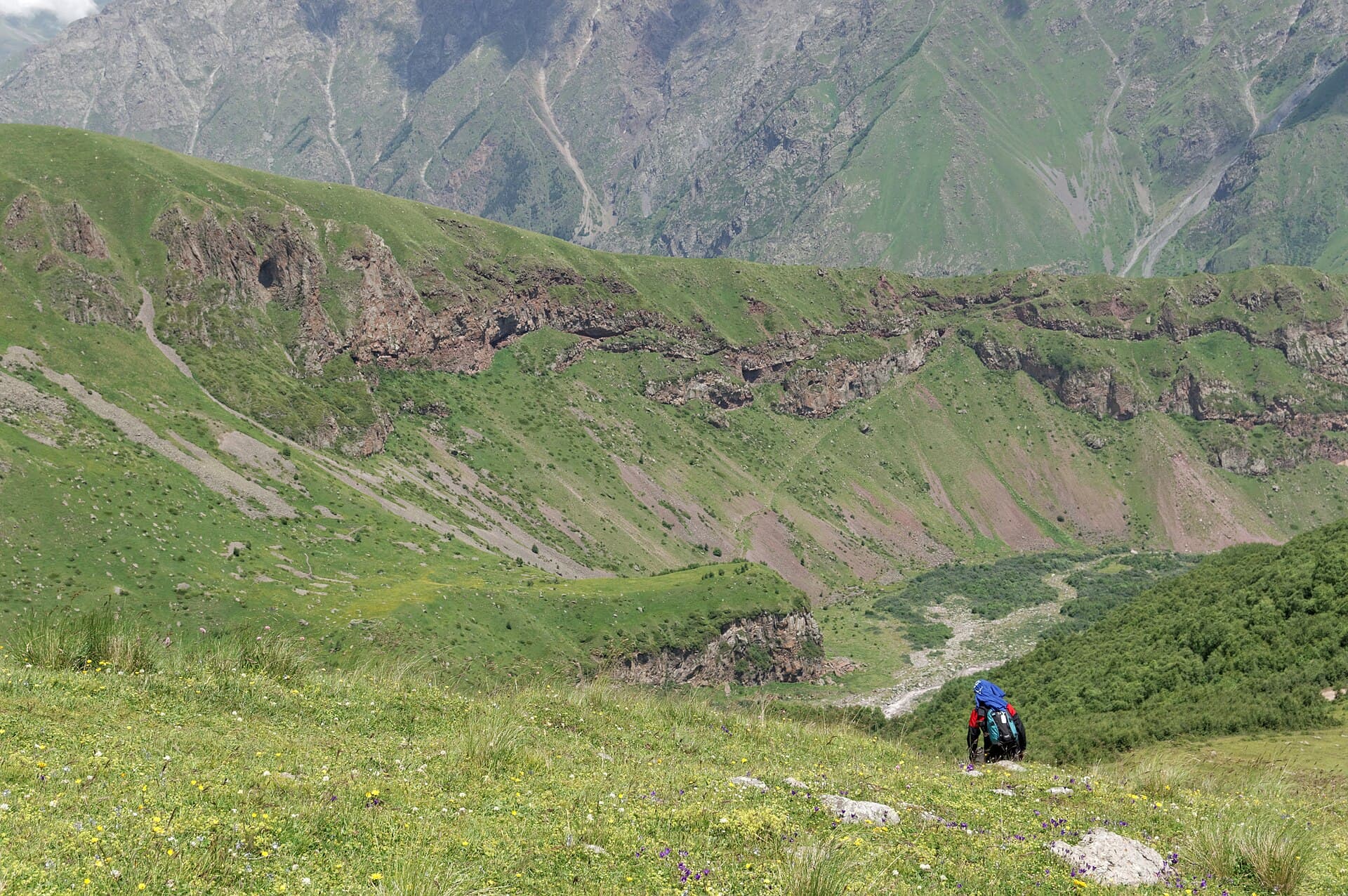 A hiker crossing wildflower meadows on the green eastern slopes of Mount Kazbek